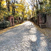 Weinbauverein Schlieben 