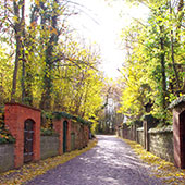 Weinbauverein Schlieben 