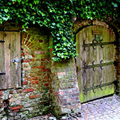 Weinbauverein Schlieben 