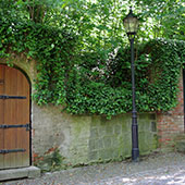Weinbauverein Schlieben 