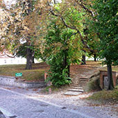Weinbauverein Schlieben 