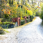 Weinbauverein Schlieben 
