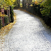 Weinbauverein Schlieben 