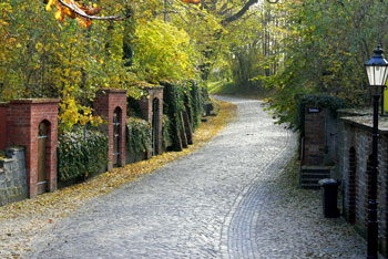 Schliebener Weinbauverein - Weinsorten