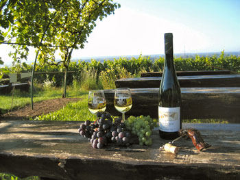 Schliebener Weinbauverein - Weinsorten