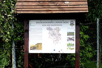 Schliebener Weinbauverein - Weinsorten